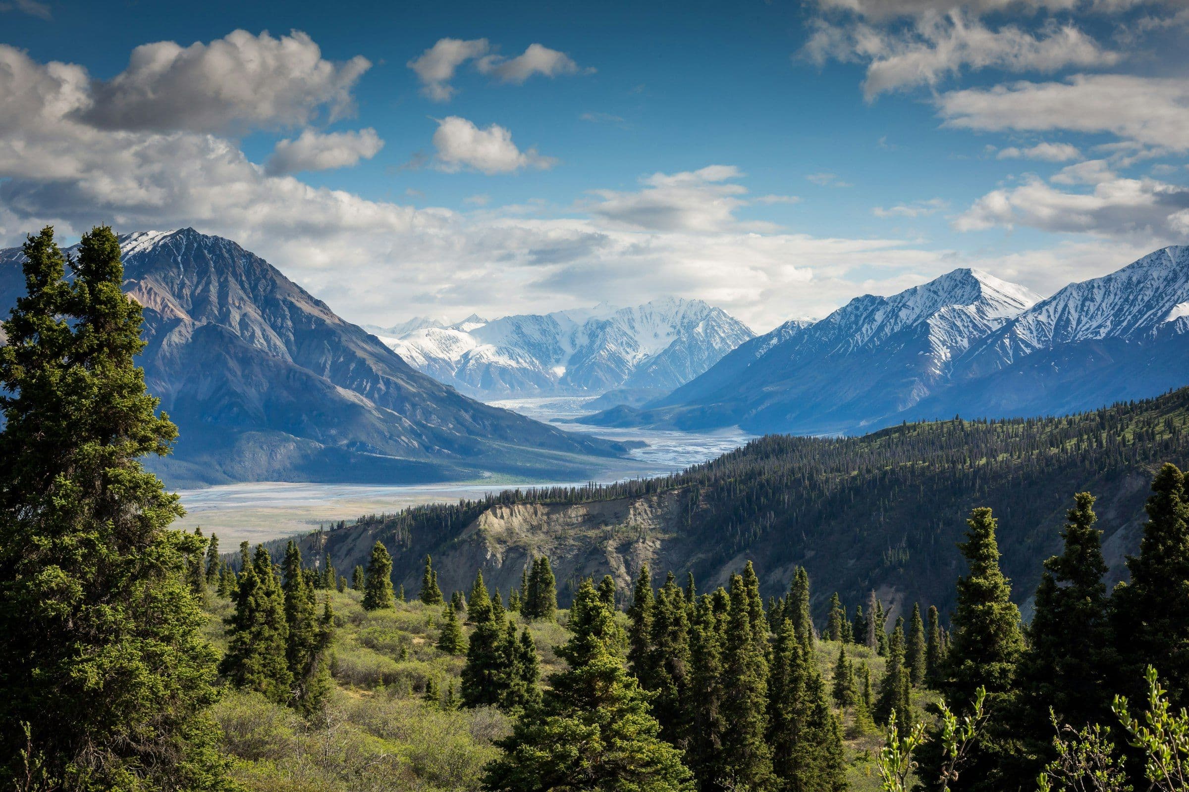 Forested valley running toward glaciated peaks