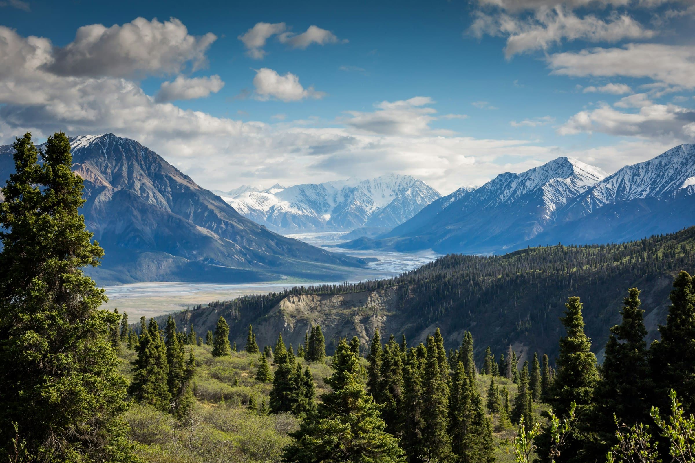 Forested valley running toward glaciated peaks
