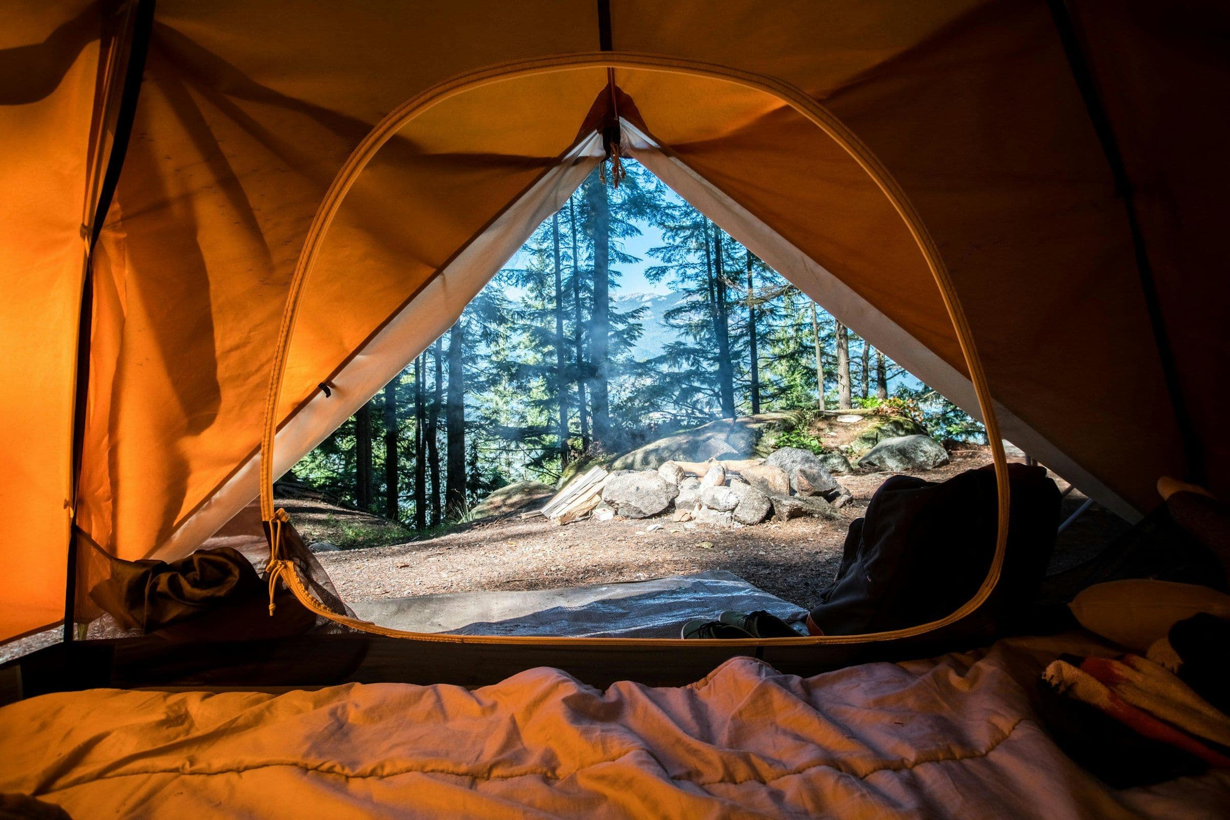 View from inside a tent pitched among pines